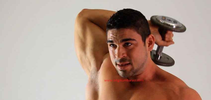 Arka Kol ( Triceps ) Çalışma Hareketleri Nelerdir ...