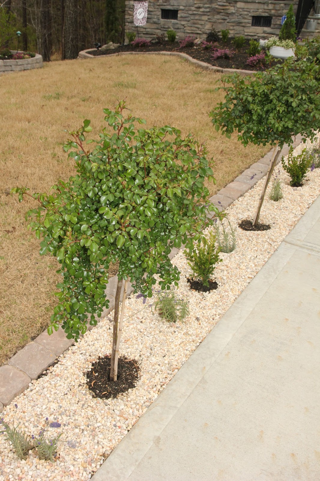 Tips For Affordable Front Yard Landscaping Ideas