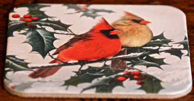  Words In Our Beak’s goal is to open readers to a simple understanding of the winged world and their environment. Set in a rooftop urban garden in New York City, my story is told in the voice of Cam, a female cardinal, who visits it. Words In Our Beak is directed to children and adults who are curious about birds, and want to learn about them from a unique perspective. The book includes hundreds of images of flora and fauna, links to movies, as well as to informative narratives that have been created by the author.  Now in Apple’s iBooks store @ https://itunes.apple.com/us/book/words-in-our-beak/id1010889086?mt=11