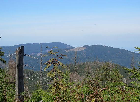 Kozubowa (czes. Kozubová; 981 m n.p.m.).