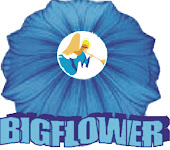 Bigflower Entertainment Company
