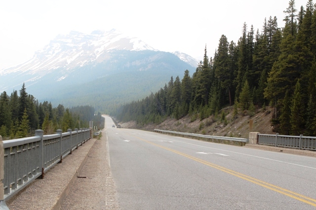 Russ and Rob's Travels: The Icefield Pathway Highway #93