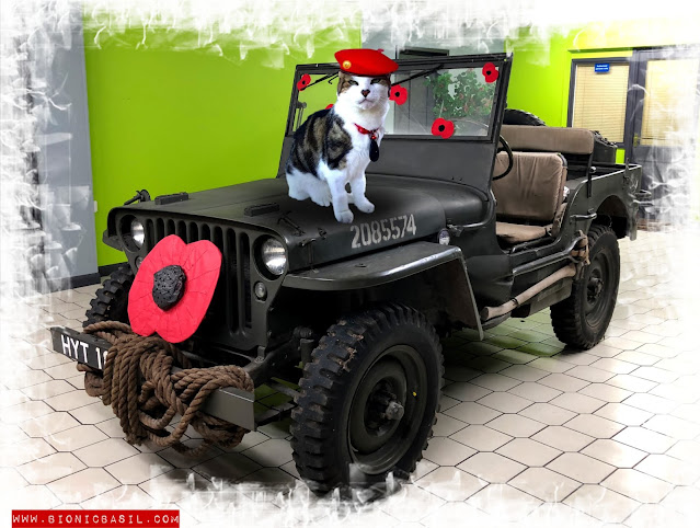 Wing Commader Basil and His 1943 Ford Jeep ©BionicBasil® Remembrance Sunday