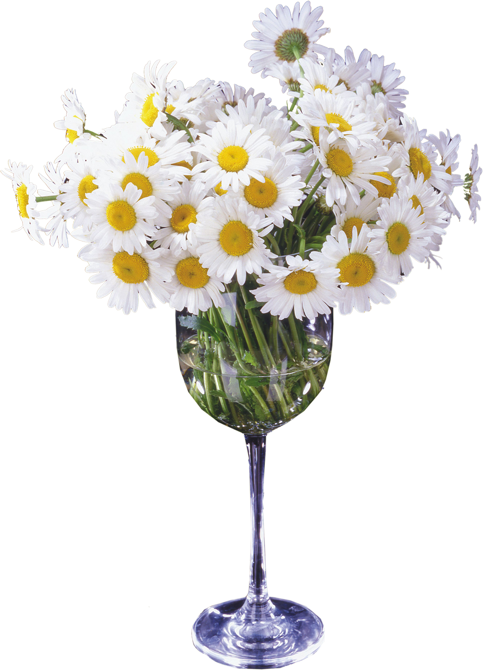 DICAS : VASO DE FLOR