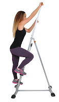 Conquer Vertical Climber, uses your body weight as resistance