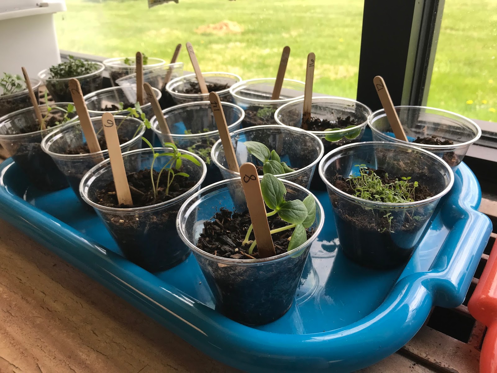 Headfirst a blog for primary teachers by a first grade teacher