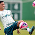 Volta da semifinal pode ter estreia de Diogo Barbosa e retomada de Tchê Tchê no Palmeiras