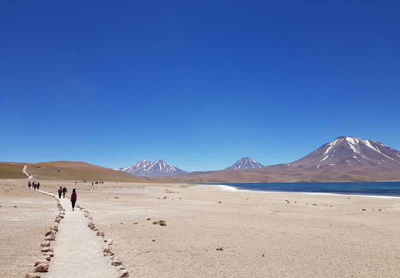 Atacama: Lagunas Altiplânicas e Salar de Atacama