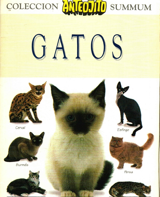 GATOS MINILIBRO ILUSTRADO