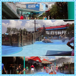 aquarium tampa florida park water inside exhibits went seen enjoy had there they