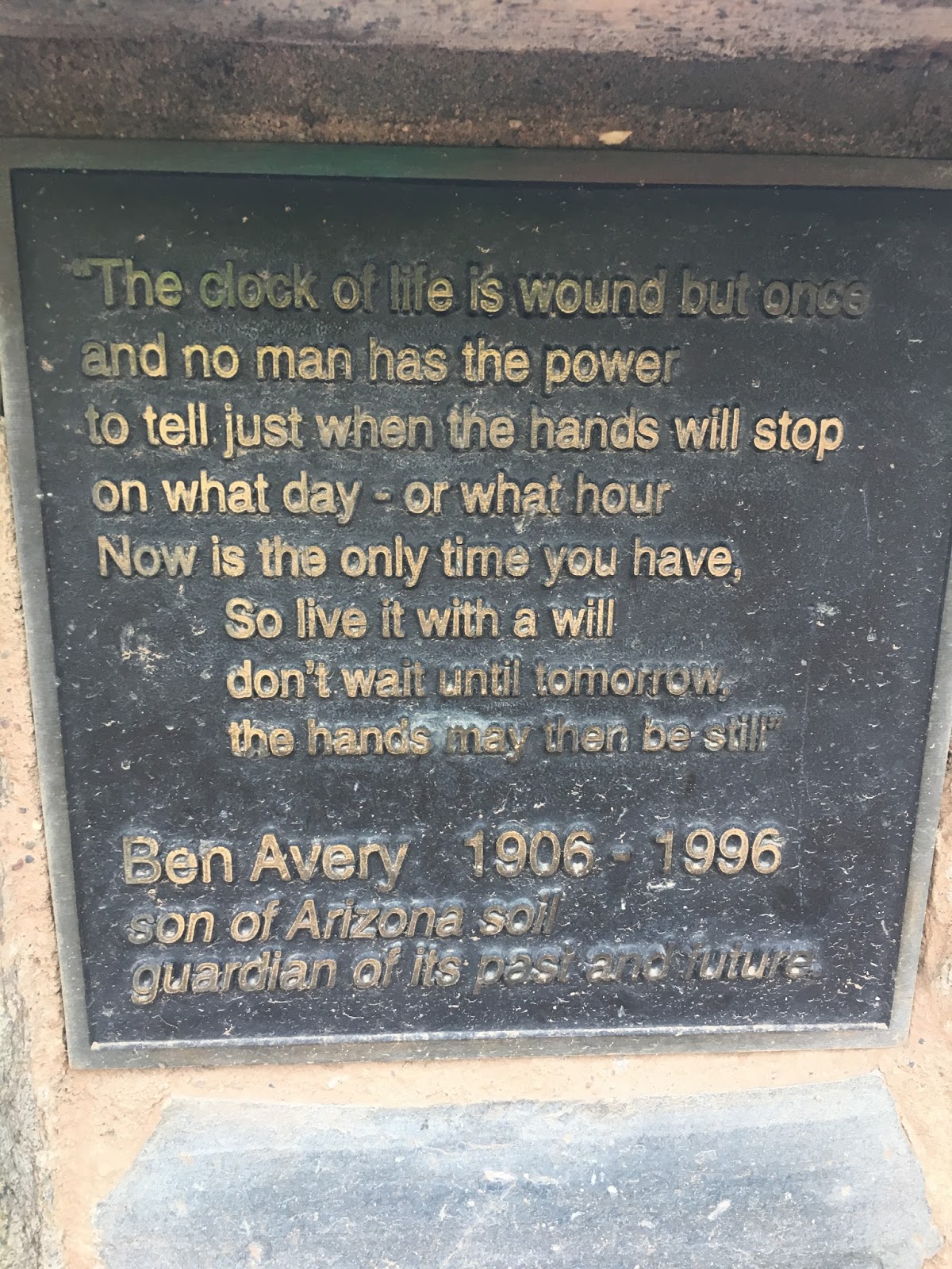 sealife chronicles December 2016