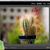 ادوبي فوتوشوب تحميل Adobe Photoshop Lightroom النسخة المدفوعة لتعديل وجعل الصور مذهلة للاندرويد باخر تحديث
