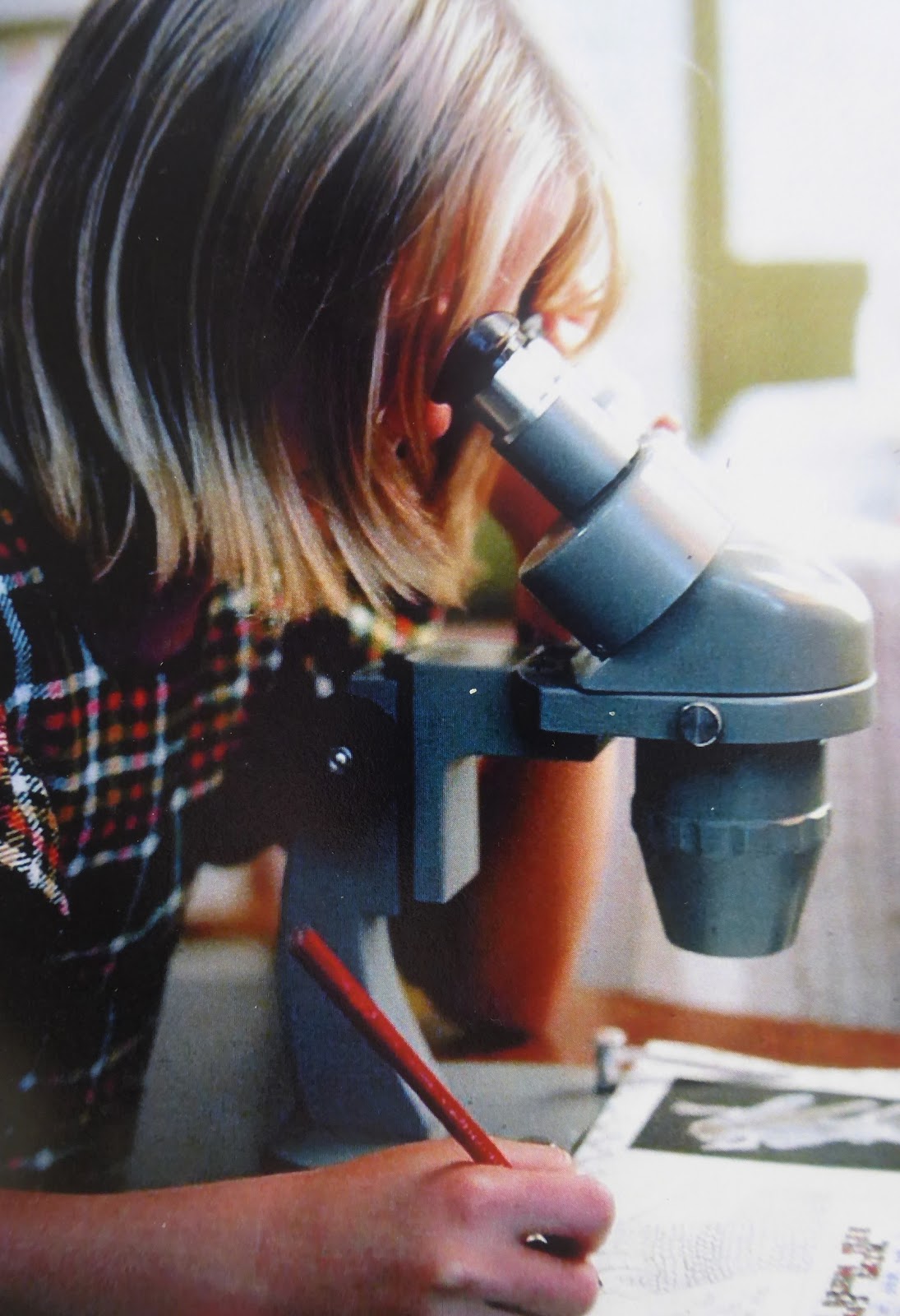 Teacher by sylvia ashton warner pdf to word document