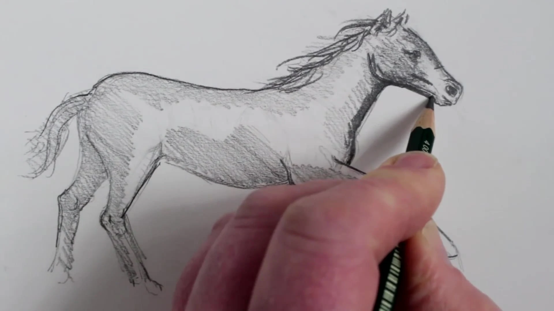 رسم حصان بالرصاص