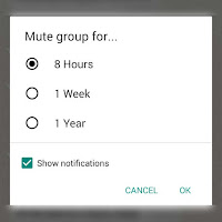 WhatsApp Mute, How to Mute Individual Contact or Group in the WhatsApp