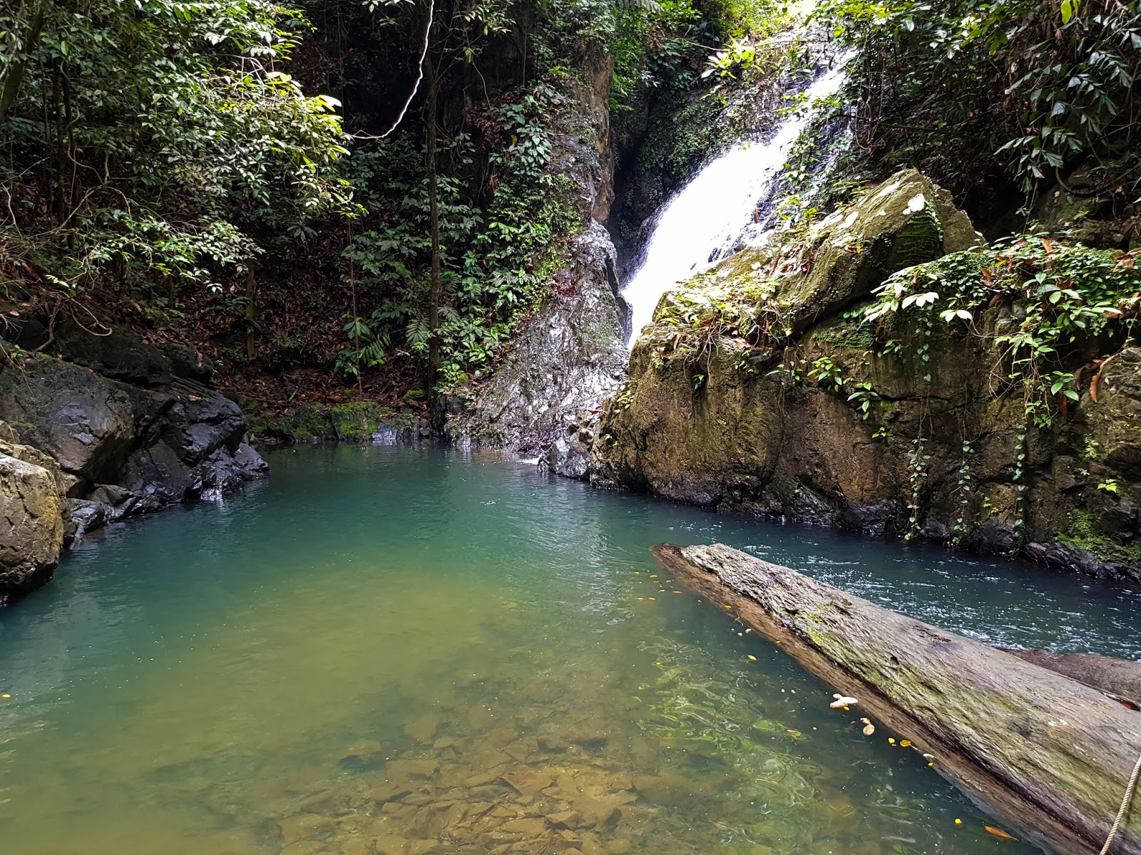 2D1N Endau-Rompin National Park via Selai : Waterfalls Paradise ...