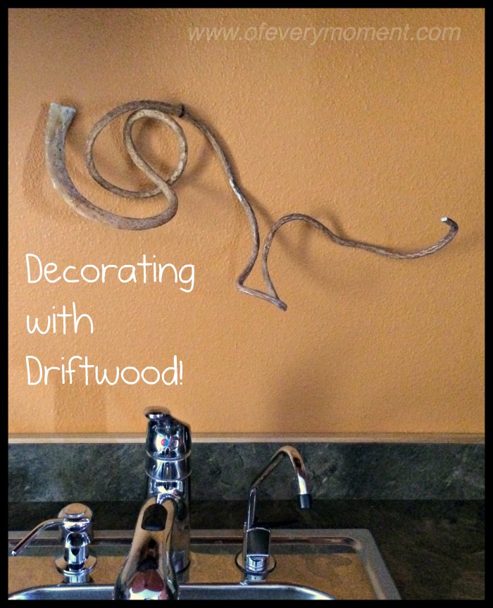 driftwood, decor, seaweed