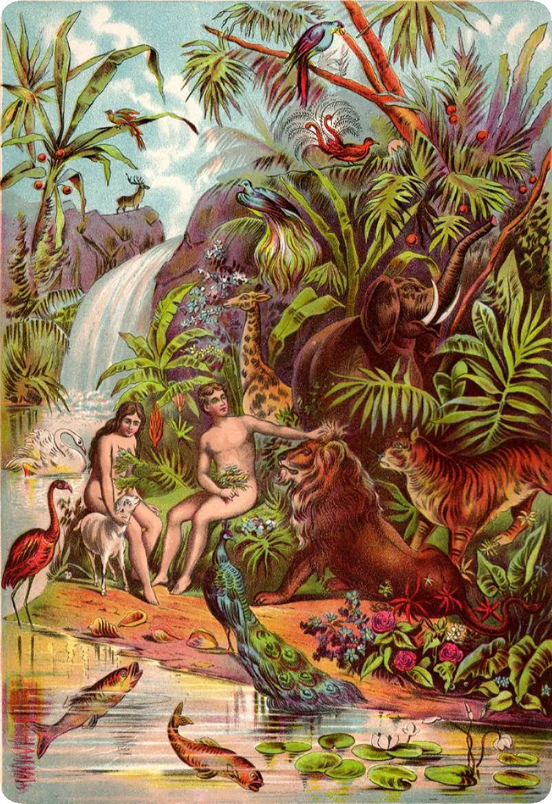 El encargo de Dios a Adán sobre los animales - Material y artículo de CatecismoParaNinos.blogspot.com