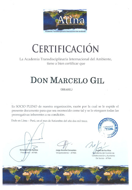 CERTIFICADO DE MEMBRO PLENO DA ATINA CONCEDIDO À MARCELO GIL / 2013