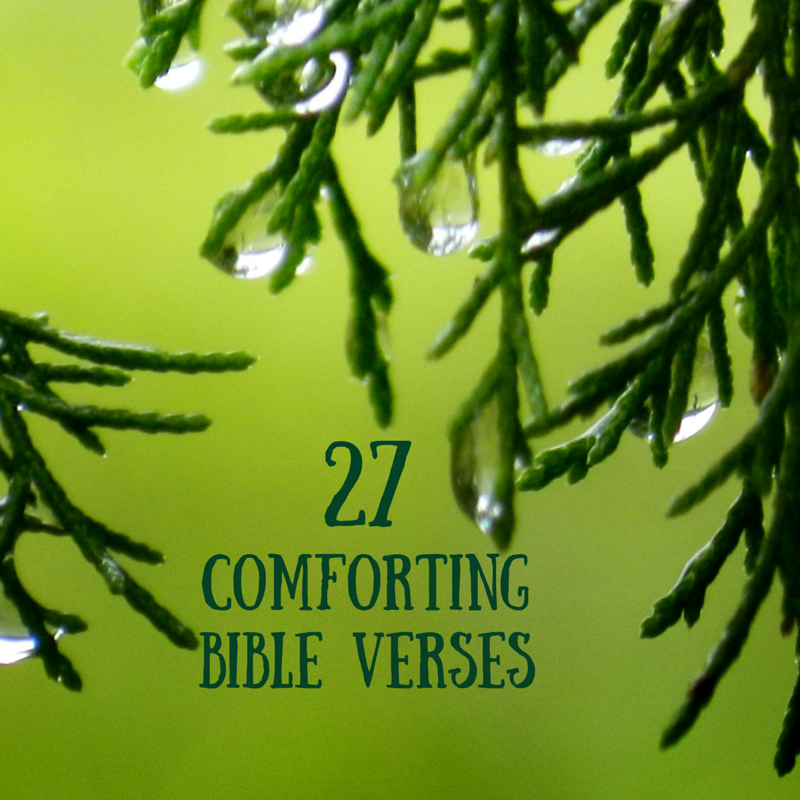 Strengthened by the Word: 27 Comforting Bible Verses
