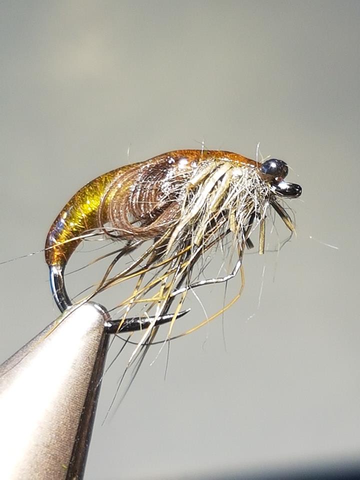 Casters Fly Shop Fly Tyer Friday A weekly showcase of the coolest