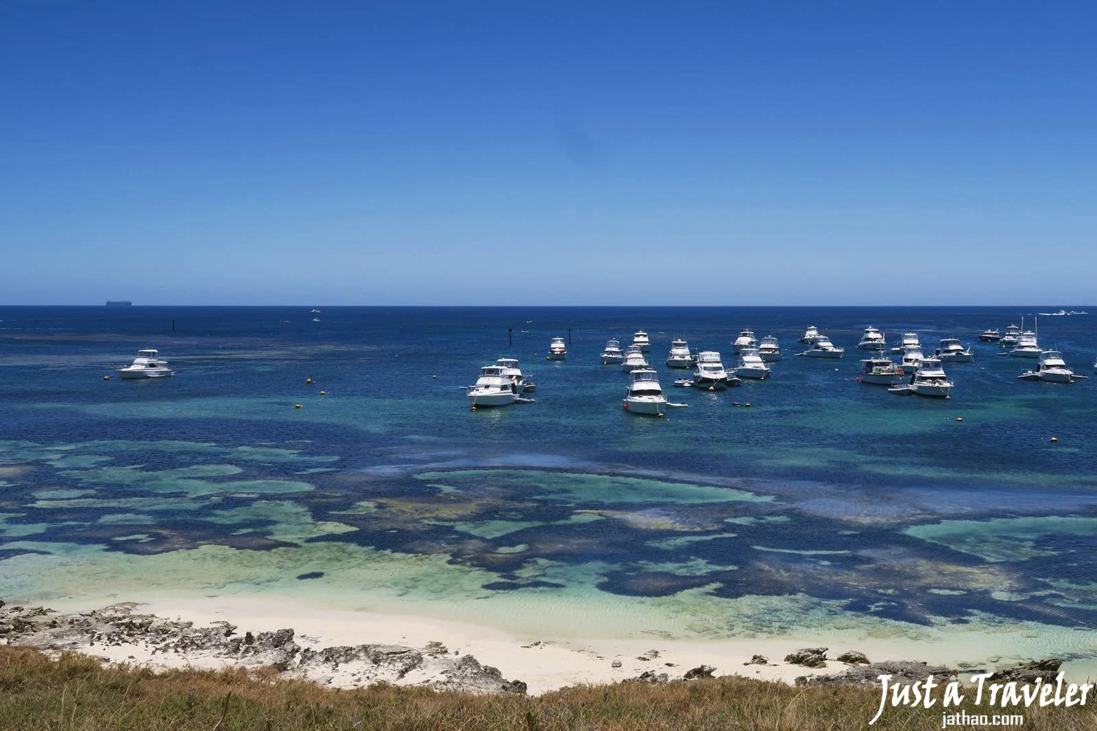澳洲-西澳-伯斯-景點-羅特尼斯島-Rottnest Island-推薦-自由行-交通-旅遊-遊記-攻略-行程-一日遊-二日遊-必玩-必遊-Perth