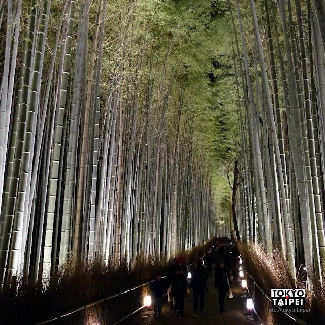 【京都嵐山花燈路】走過奇幻的竹林小徑　望向夜裡發光的山頭
