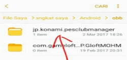 folder OBB folder OBB
