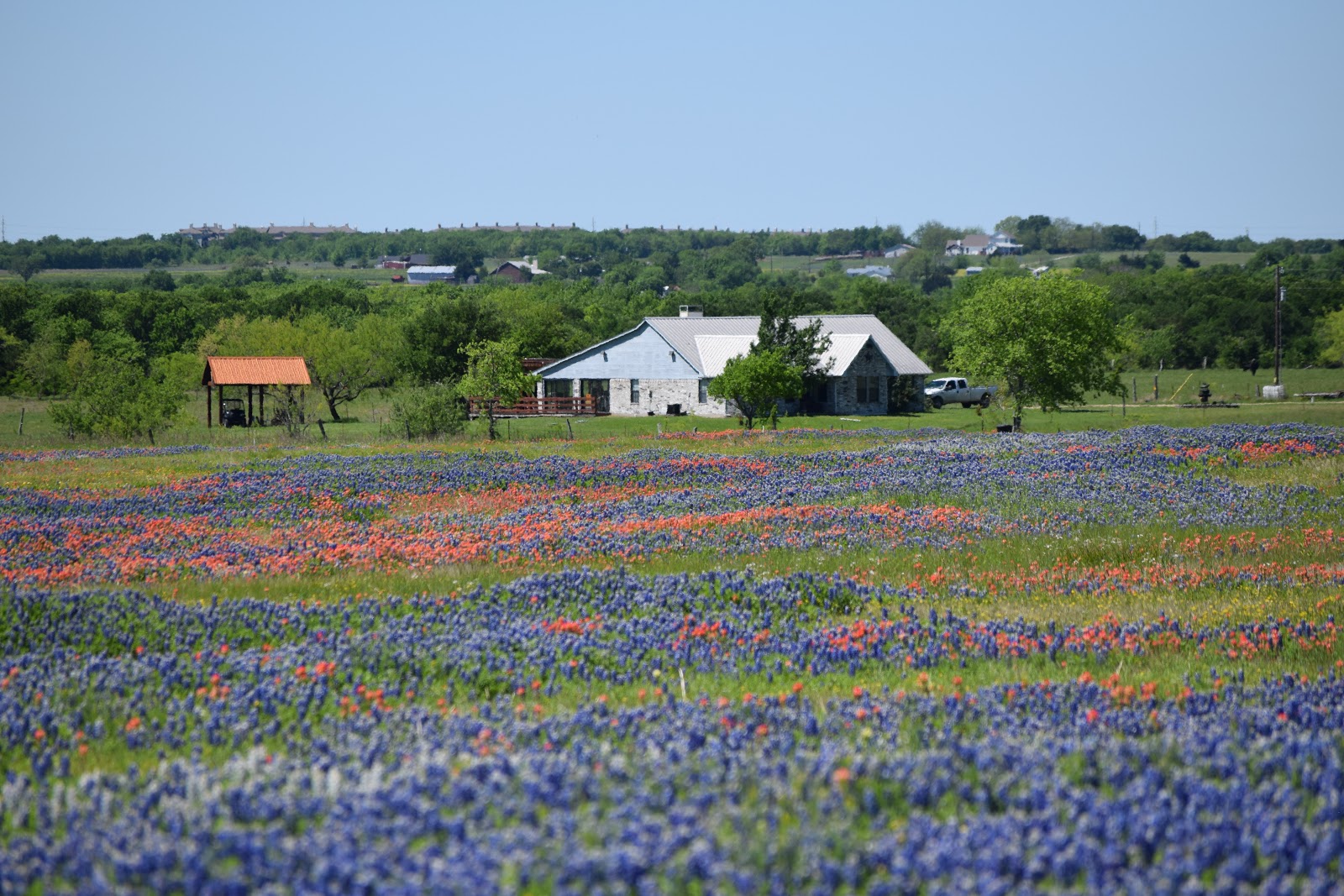 Travel for Life Texas—Visiting Ennis for Trails Festival (2019)