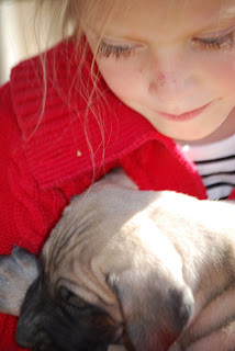 Davies' Black Mouth Curs