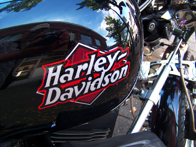  Harley  Davidson  tank logo s  Motorcycle Design