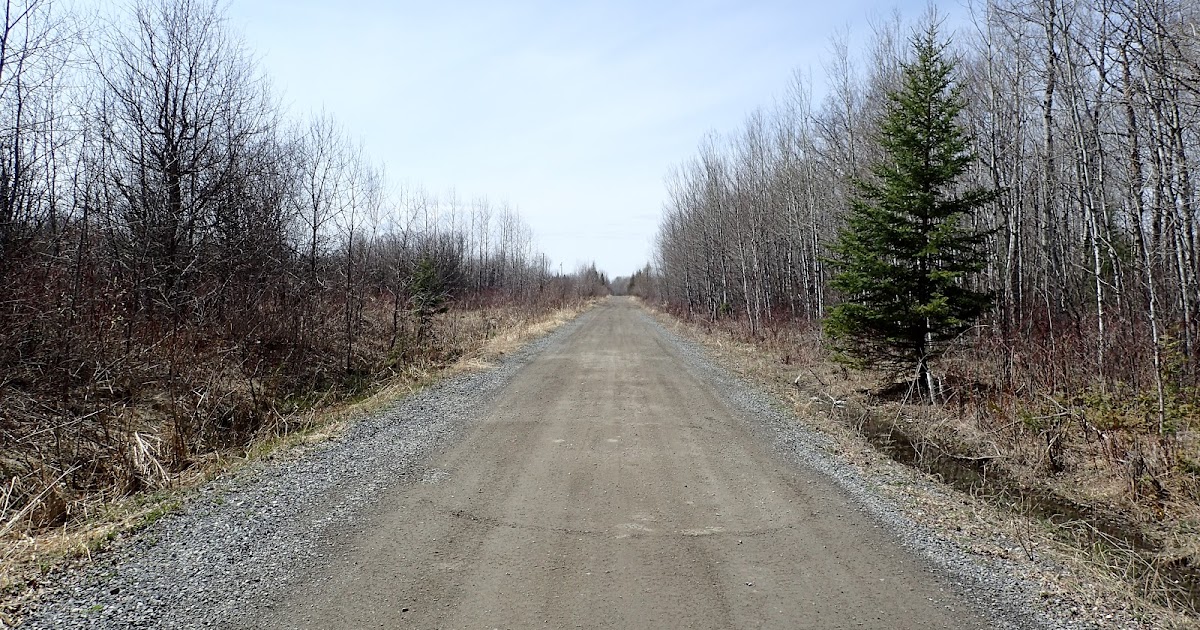 The Continuing Adventures of Eric, Noelle and Sierra Blue Ox Trail