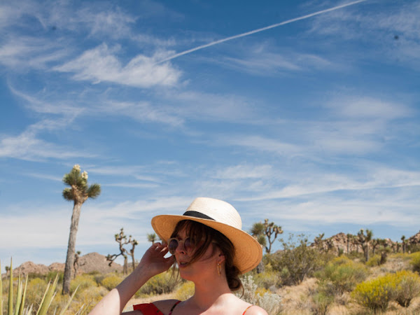 Travel: California diaries - Joshua Tree Park