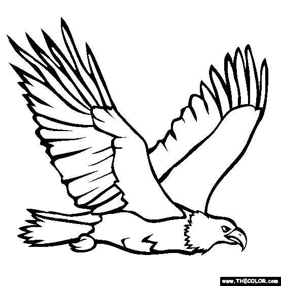 eagle coloring pages easy - photo #3