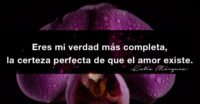 Eres mi verdad más completa,la certeza perfecta de que el amor existe.