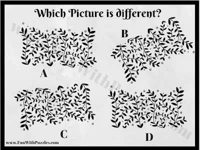 Tough Picture Puzzle to find the different picture