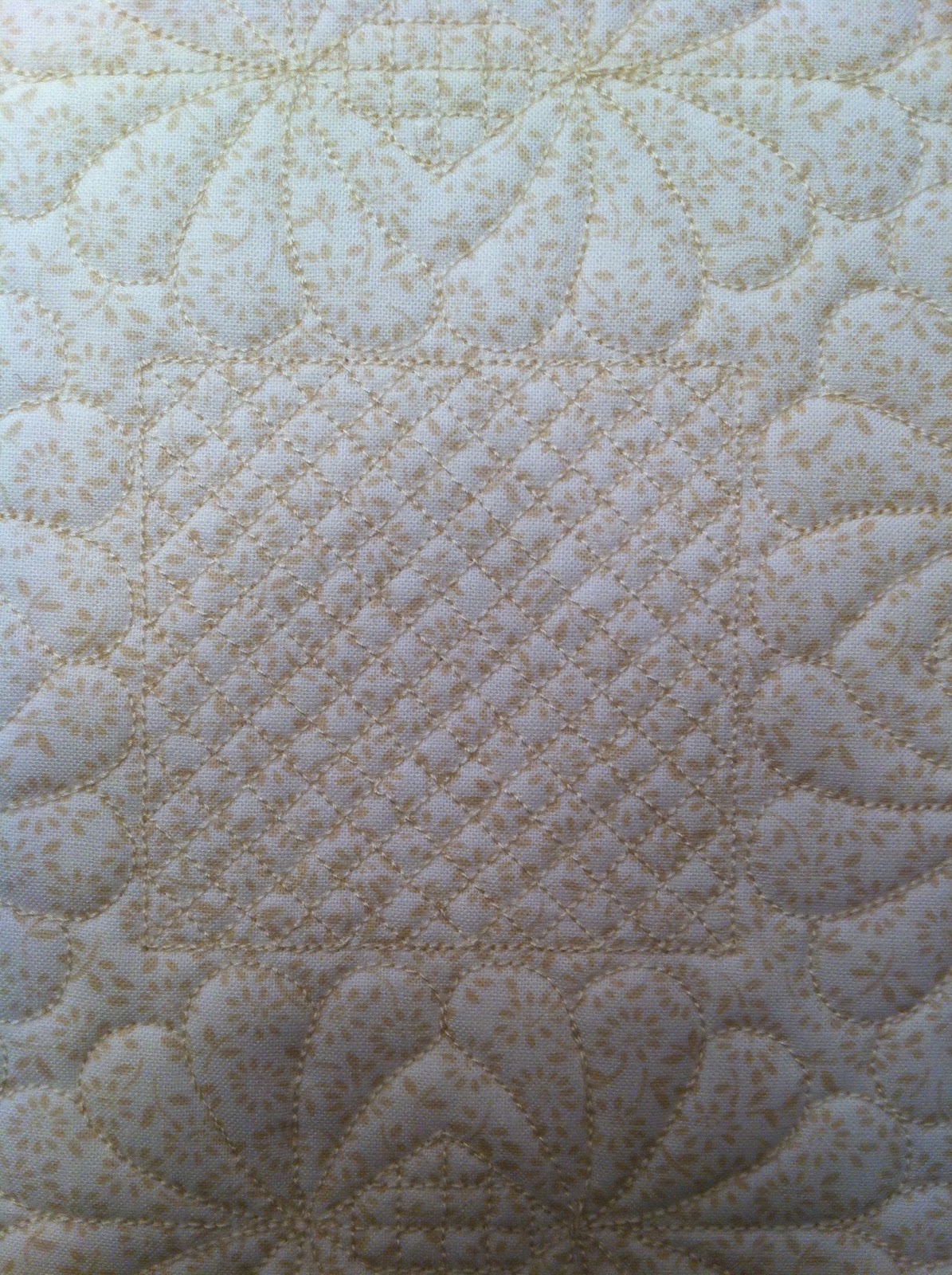 Suzy's Quilting Room 5D Quilt Design Creator