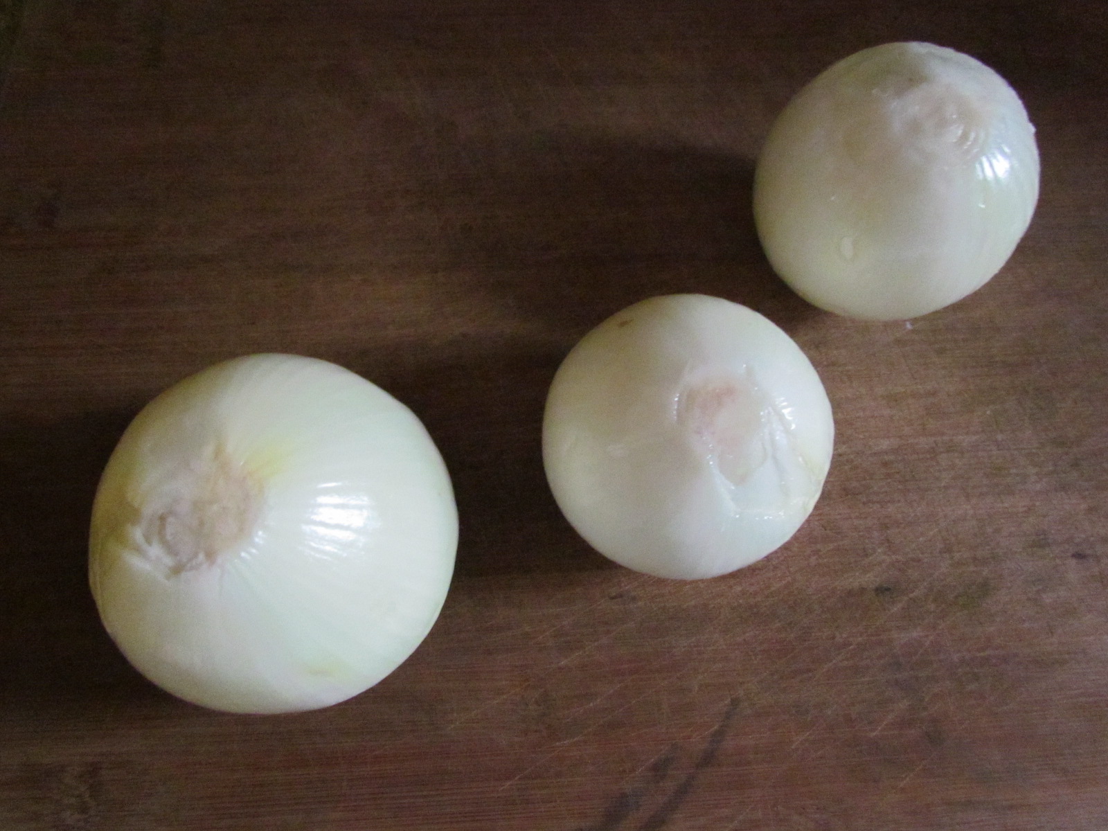 Pioneer Woman at Heart How to Make Onion Powder and Onion Flakes