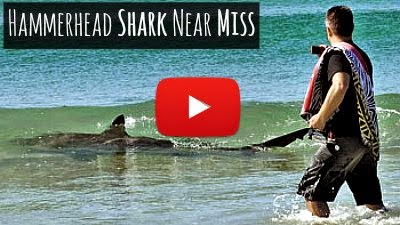 Watch this Hammerhead Shark attack nearly miss the two swimmers enjoying in the waters near Destin via geniushowto.blogspot.com Shark attack videos