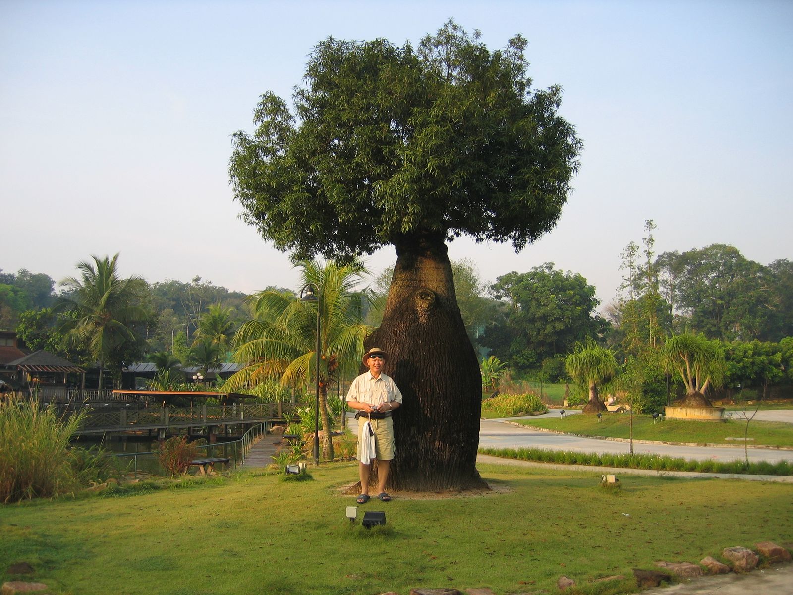 Fly Fishing Journal Yishun Bottle Tree Park