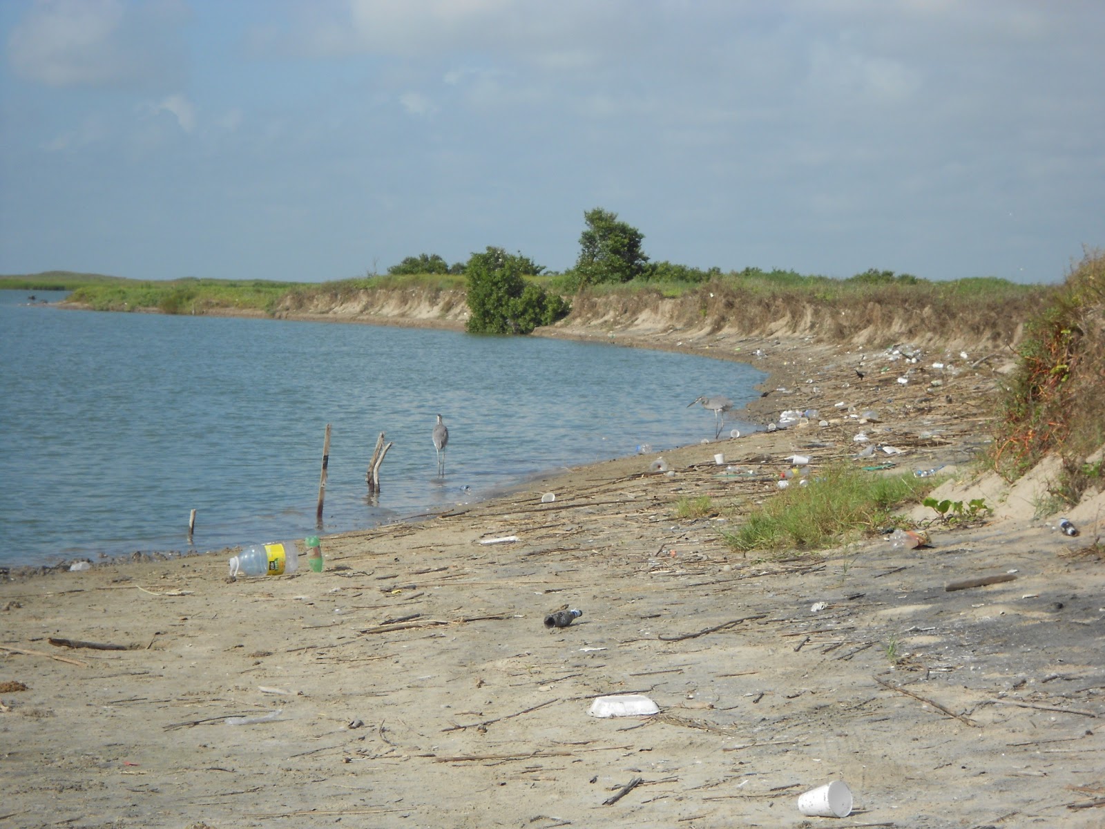 Exploring the Rio Grande Delta