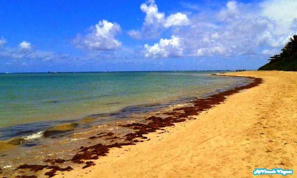 Praia próxima a Moreré