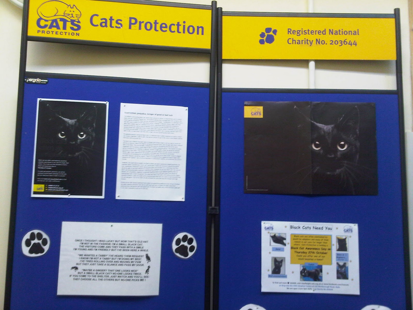 Cats Protection Isle of Wight Black Cat Awareness Day