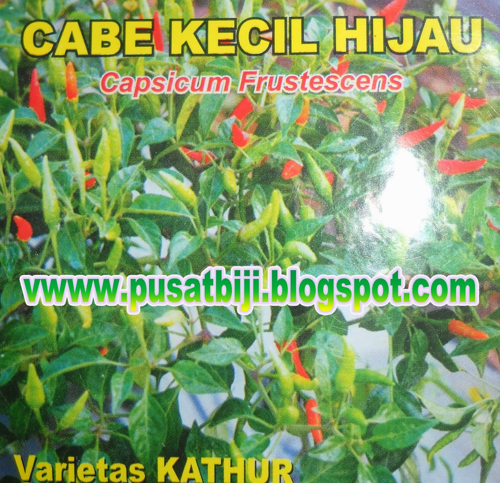 CABE VAR. KATHUR