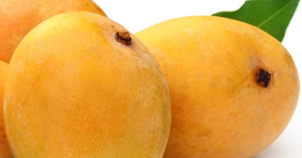 MANGO TREES Fatty acids in mango fruits