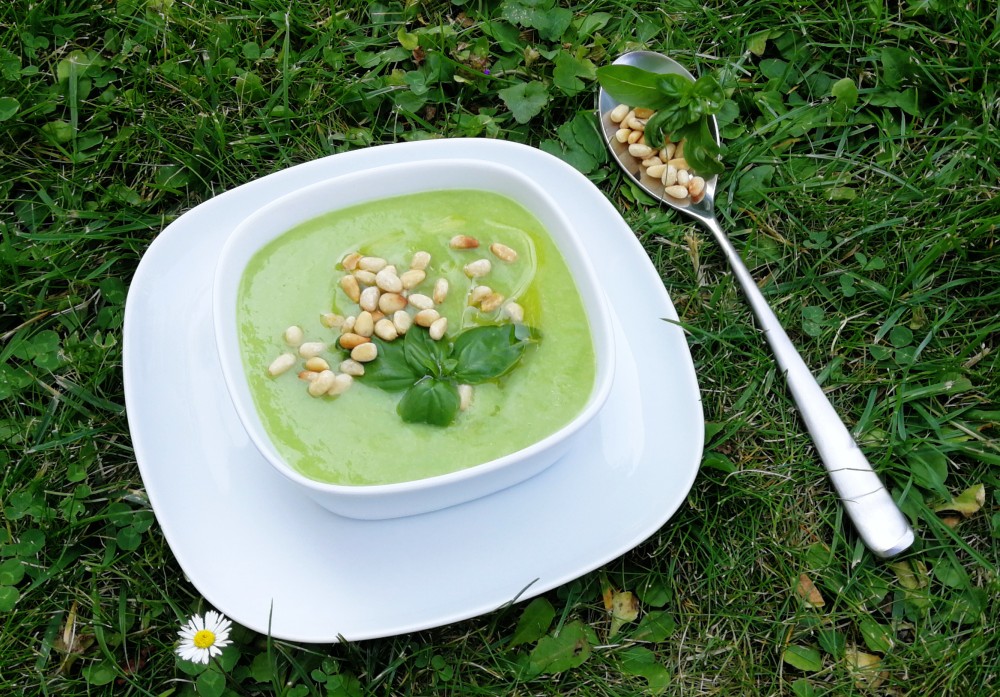 Barbaras Spielwiese: Nachgemacht: Melonenkaltschale mit Basilikum