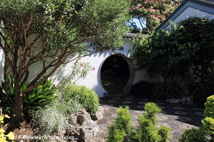 Descubriendo hojas: El Jardín Chino Lan Su de Portland. #gbfling14