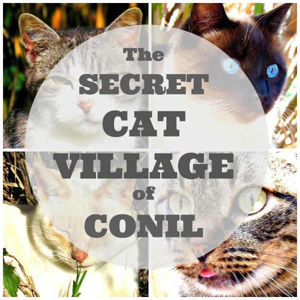 secret cat village of conil