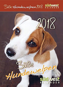 Süße Hundewelpen 2018 ABK