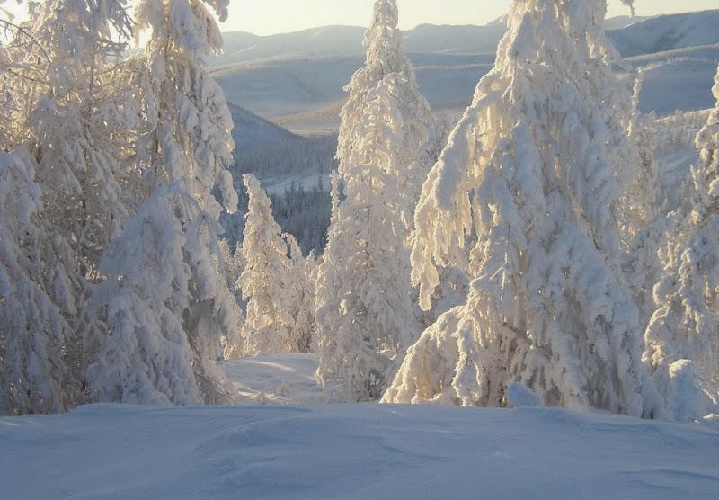 أبرد مكان على وجه الأرض
